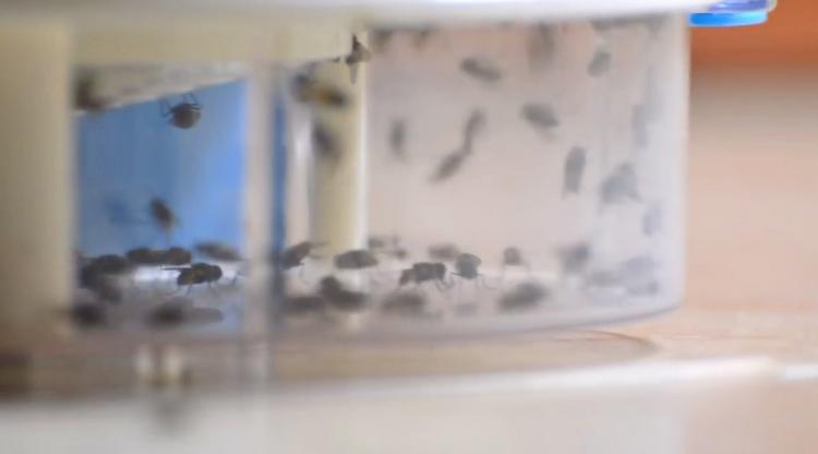 Rotating Fly Trap - Revolving Electronic Housefly trap