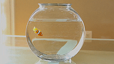 RoboFish - Robotic Swimming Fish - GIF