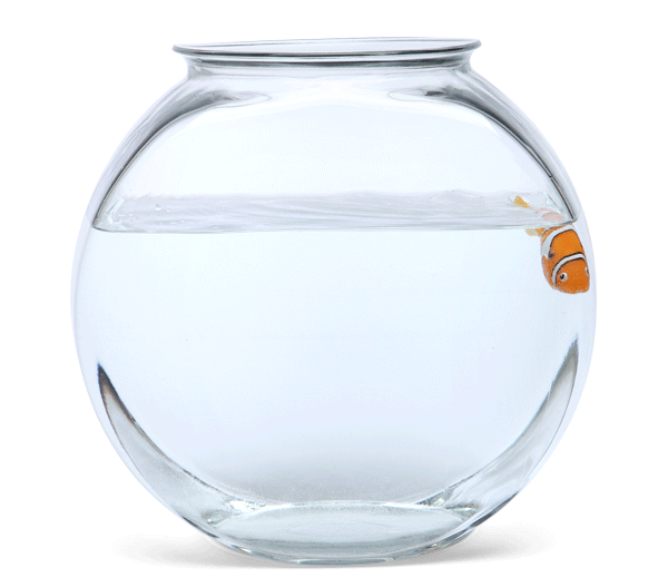 RoboFish - Robotic Swimming Fish