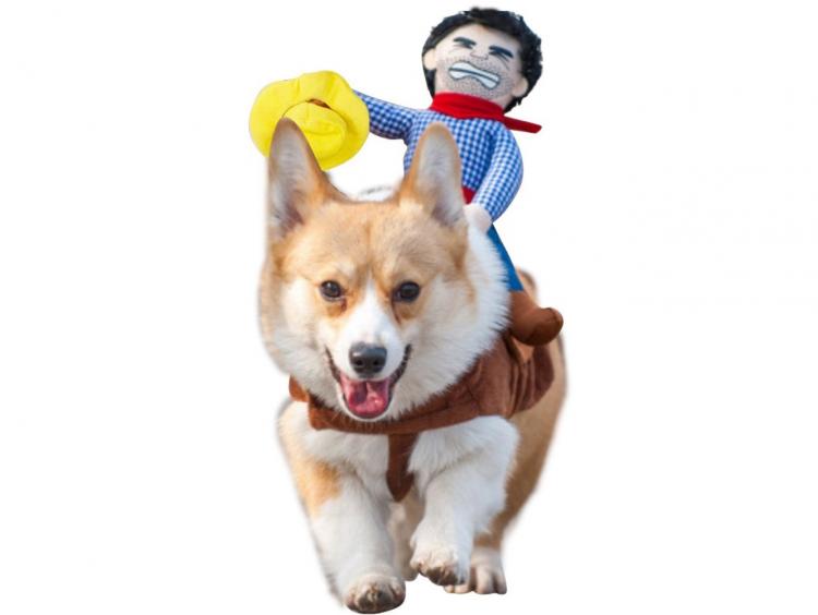 Rodeo Cowboy Dog Costume - Ride-em cowboy Halloween dog costume