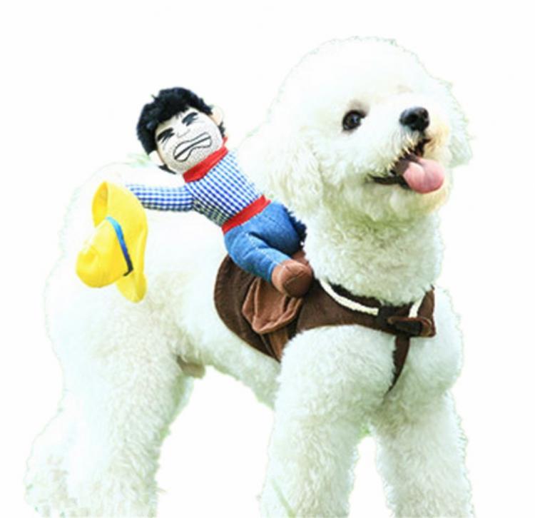 Rodeo Cowboy Dog Costume - Ride-em cowboy Halloween dog costume