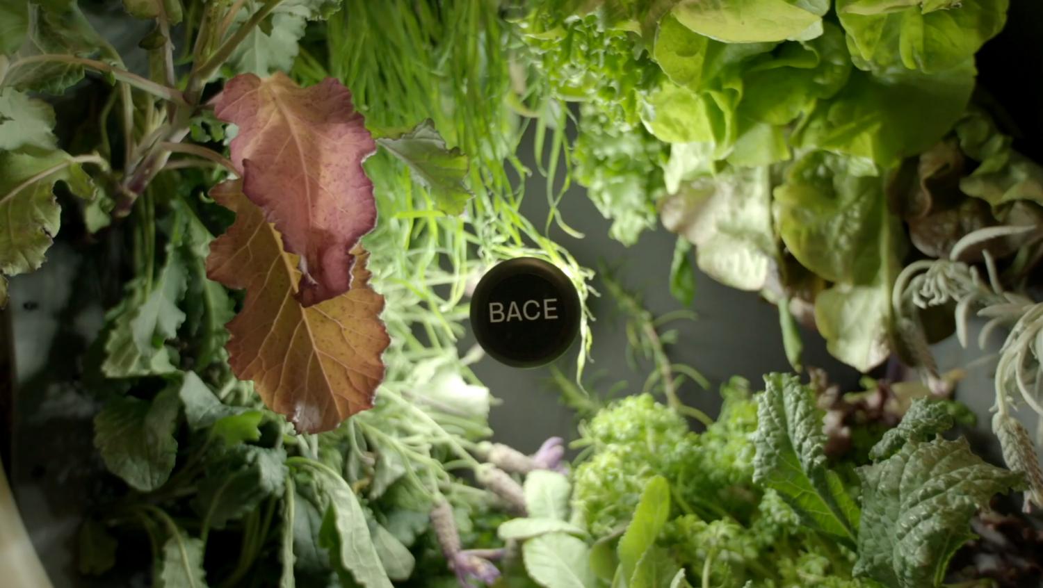 Rotating NASA-Inspired Indoor Garden Provides Full Garden In Just 1.7 Feet - Rotofarm modern futuristic cylinder garden