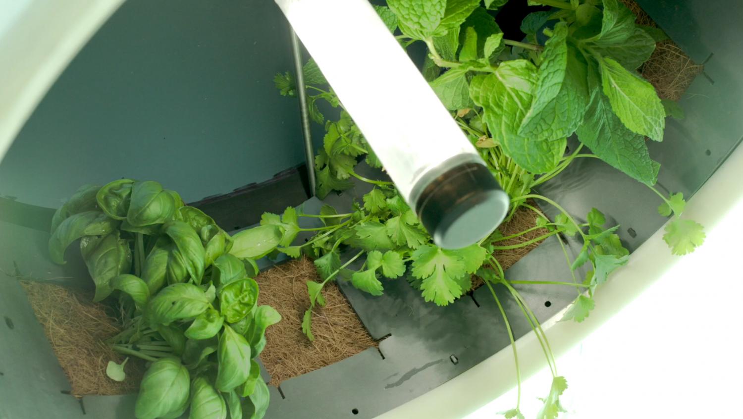 Rotating NASA-Inspired Indoor Garden Provides Full Garden In Just 1.7 Feet - Rotofarm modern futuristic cylinder garden