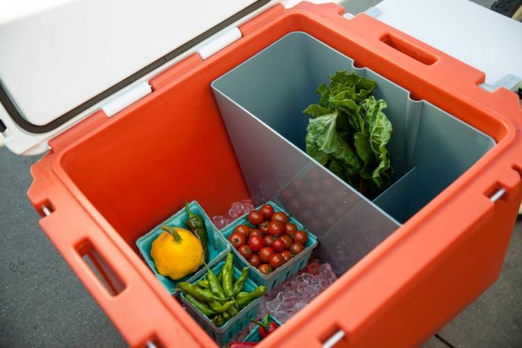 Rovr Roller Cooler - Bicycle Towable Cooler - Towable Bike Cooler