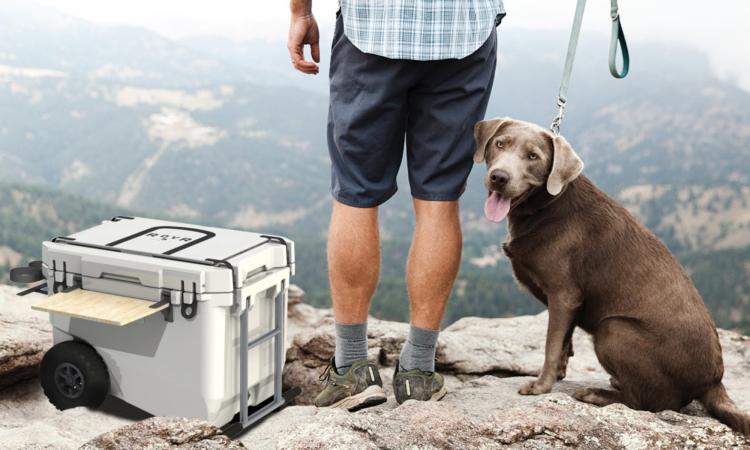 Rovr Roller Cooler - Bicycle Towable Cooler - Towable Bike Cooler