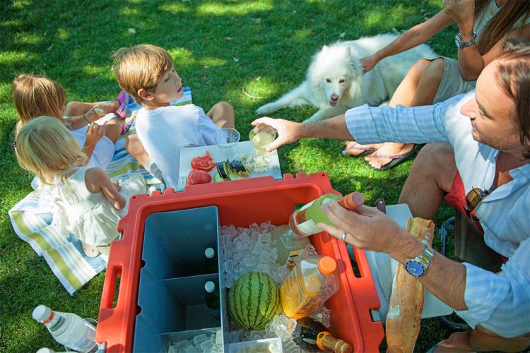 Rovr Roller Cooler - Bicycle Towable Cooler - Towable Bike Cooler