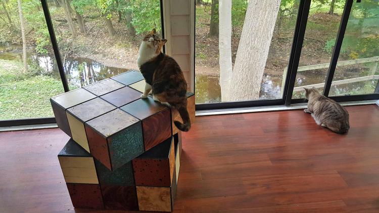 Rubick's Cube Cat Bed Table - Spinning Rubik's Cube Drawer Table