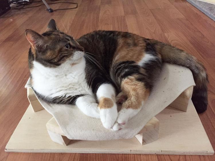 Rubick's Cube Cat Bed Table - Spinning Rubik's Cube Drawer Table