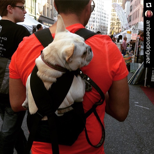 Dog Carrier Backpack