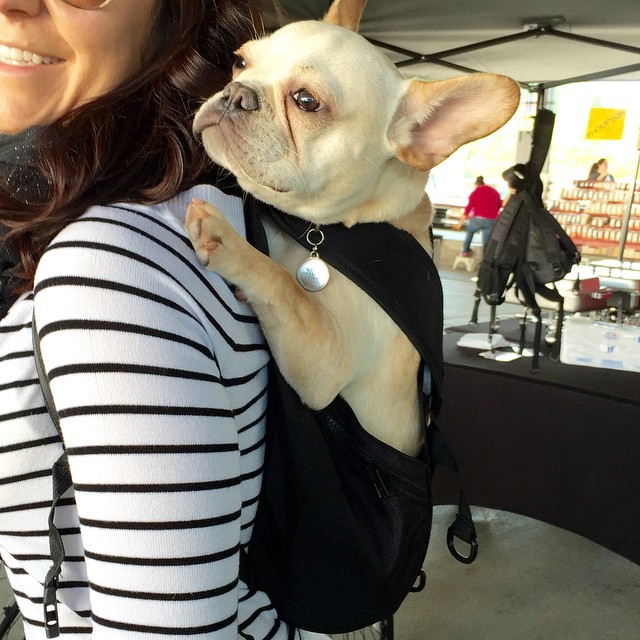 Dog Carrier Backpack
