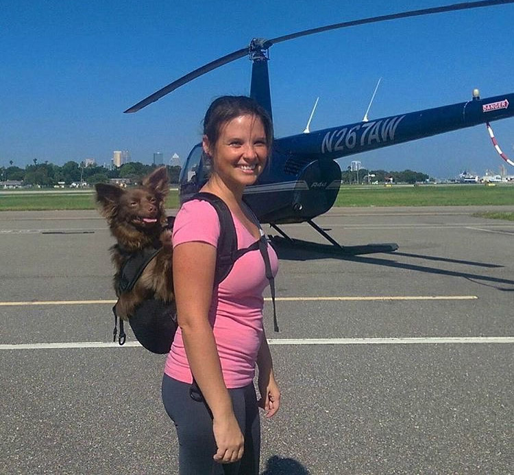 Dog Backpack