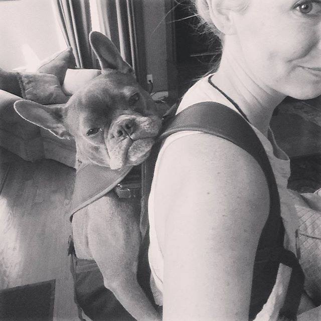 Dog Carrier Backpack