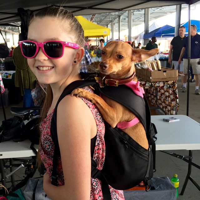 Dog Backpack