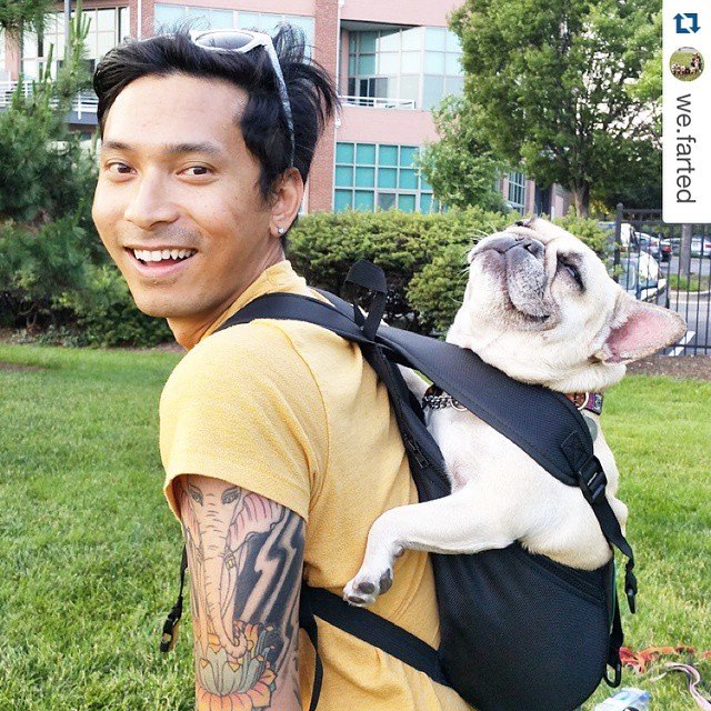 Ruffit Dog Carrier Backpack