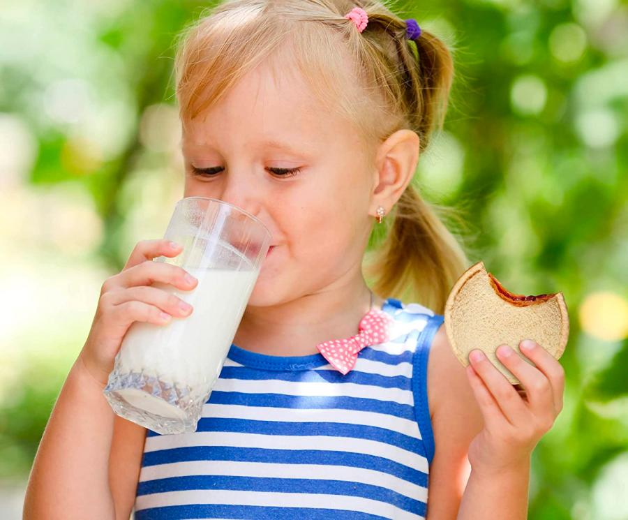 Sandwich Decruster and Sandwich Sealer For kids