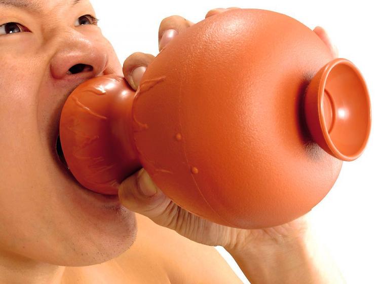 Scream Absorbing Vase - Shouting vase absorbs your screams