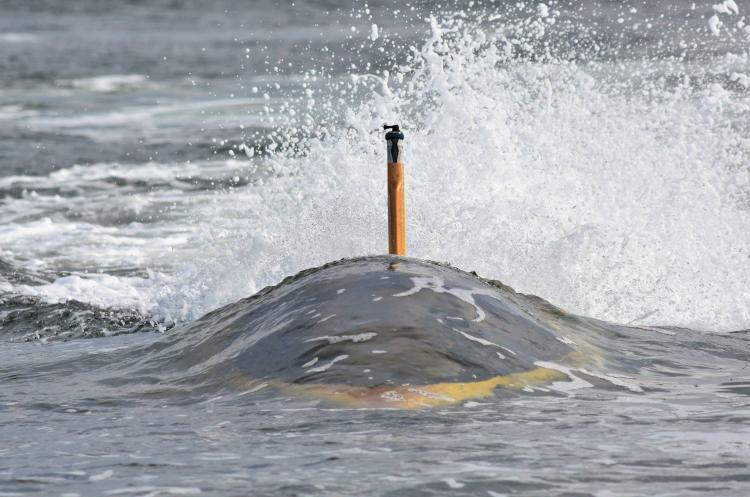 SeaBreacher Dolphin Inspired Jet Powered Watercraft Submarine Hybrid