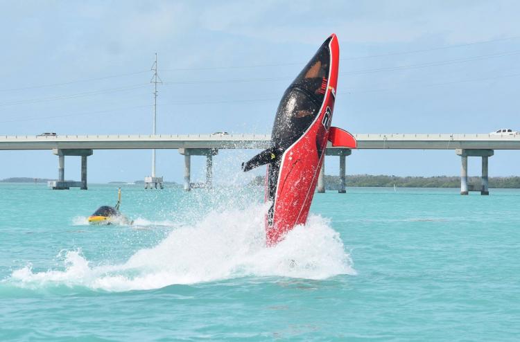 SeaBreacher Dolphin Inspired Jet Powered Watercraft Submarine Hybrid