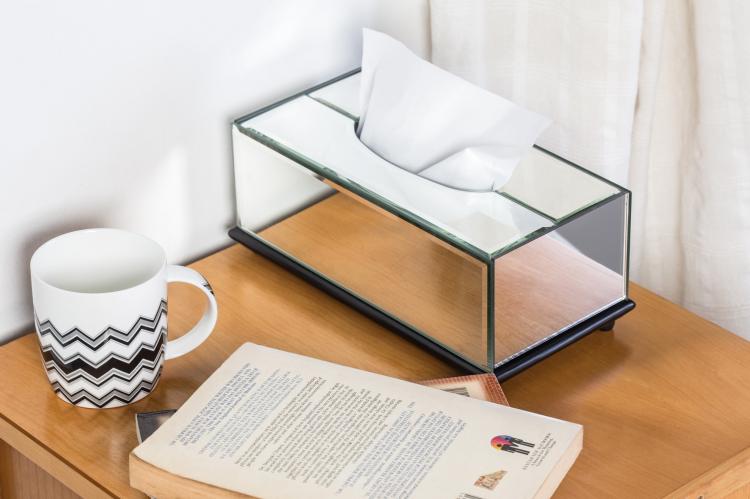 Dropcam Accessories - Hide camera in mirrored kleenex box