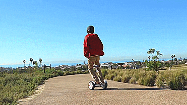 Mini Segway - Segway MiniPRO - Segway Hoverboard With Knee Steering