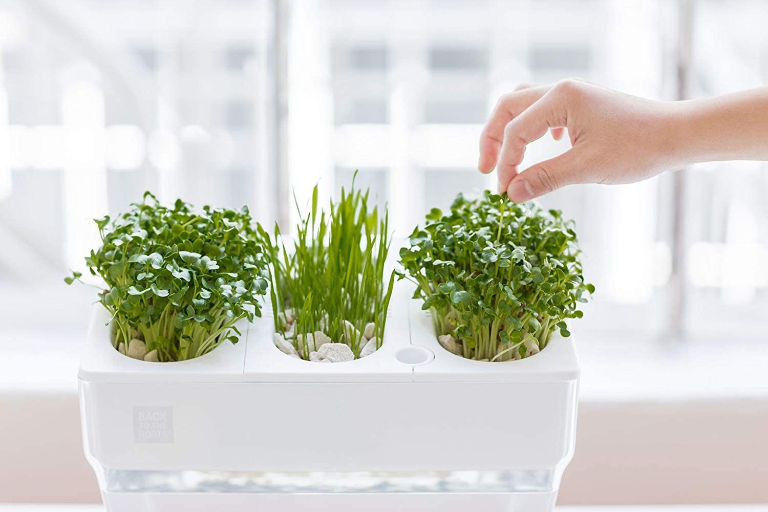 Self-Cleaning Fish Tank Garden Grows Food Using Your Your Fish's Waste - back to the roots fish tank herb garden