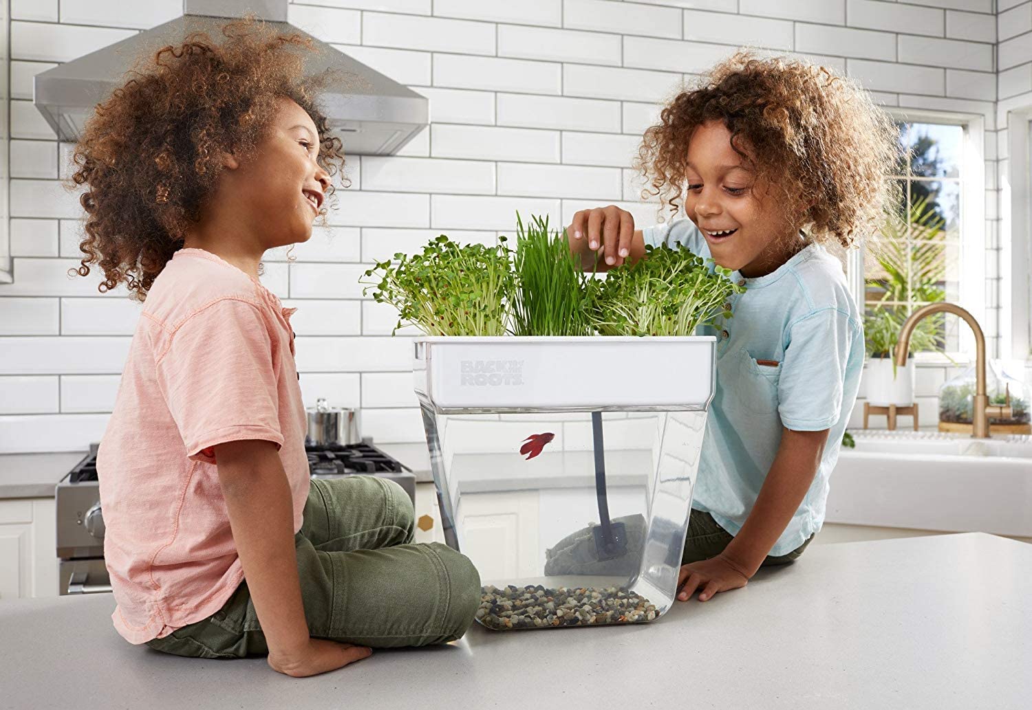 Self-Cleaning Fish Tank Garden Grows Food Using Your Your Fish's Waste - back to the roots fish tank herb garden