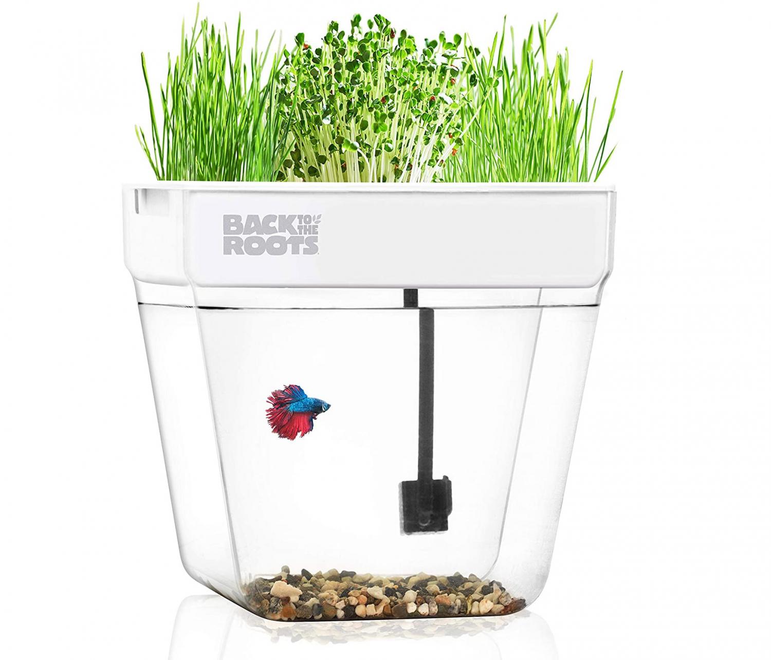 Self-Cleaning Fish Tank Garden Grows Food Using Your Your Fish's Waste - back to the roots fish tank herb garden