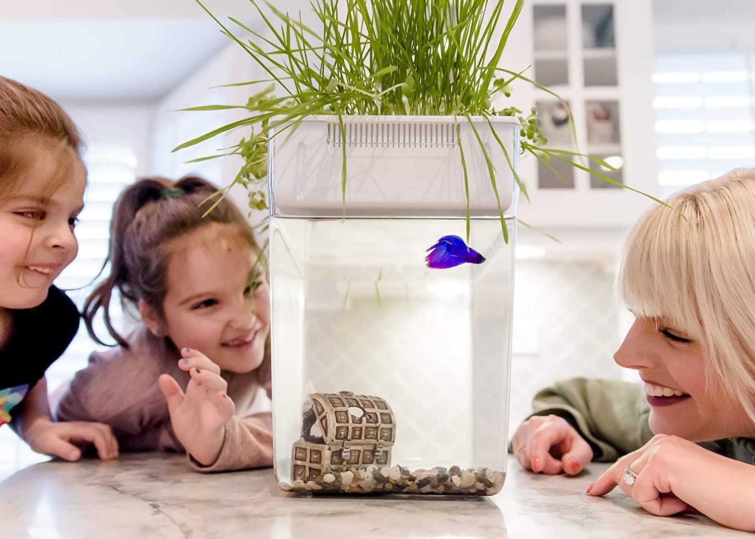 Self-Cleaning Fish Tank Garden Grows Food Using Your Your Fish's Waste - back to the roots fish tank herb garden