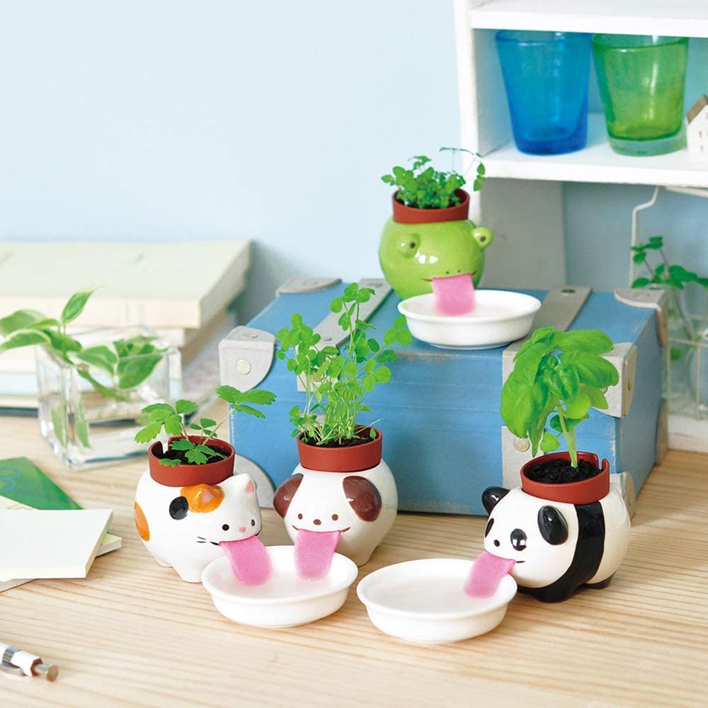 Drinking Animal Planters - Slurp up water through their tongues
