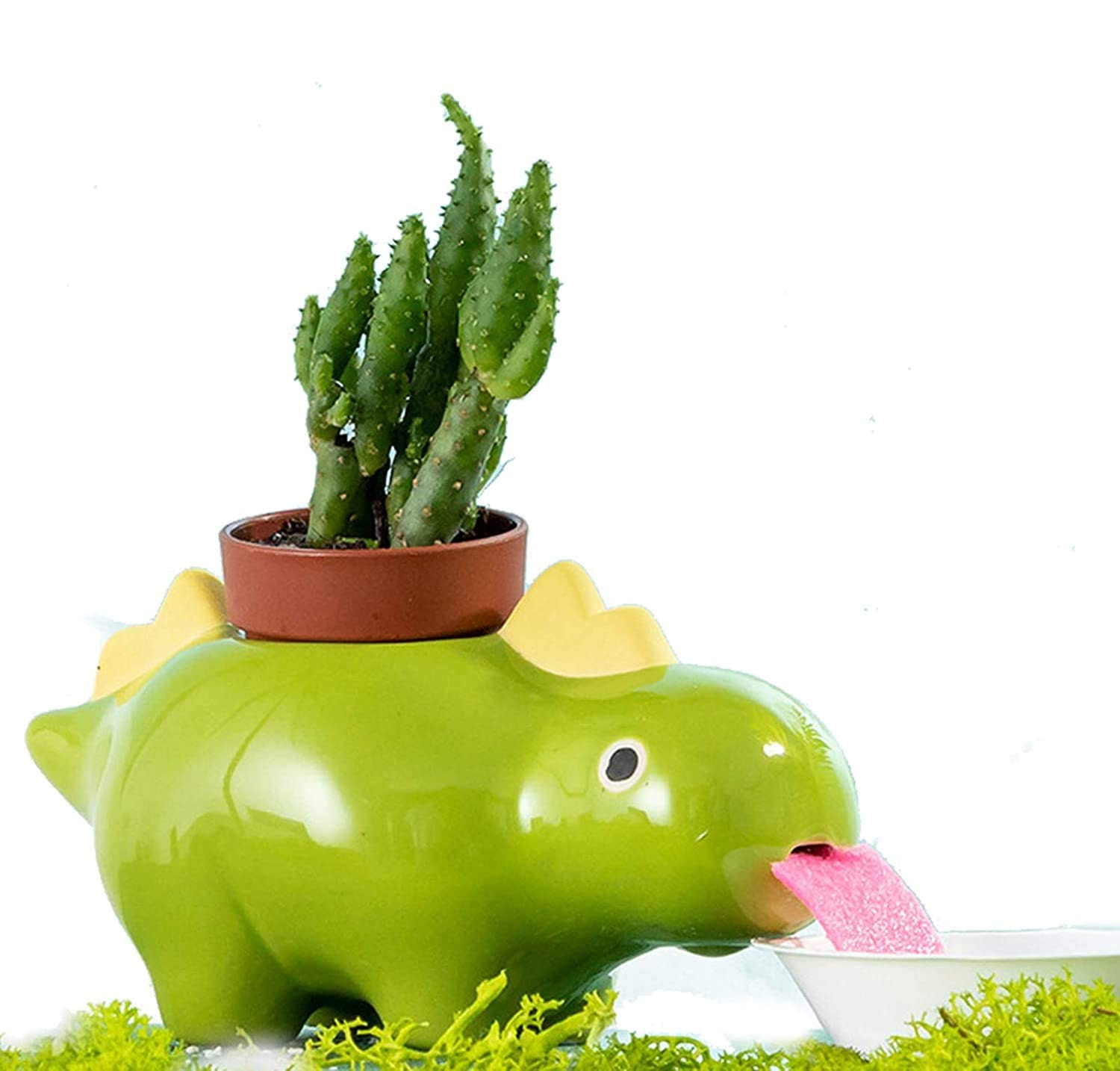 Drinking dinosaur planters