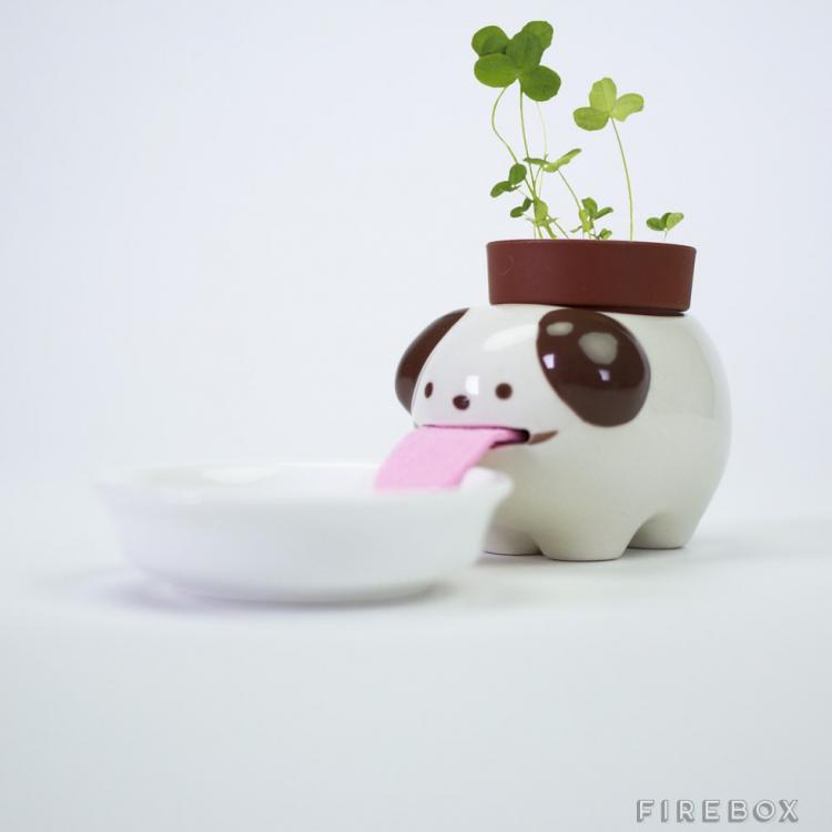 Drinking Animal Planters - Slurp up water through their tongues