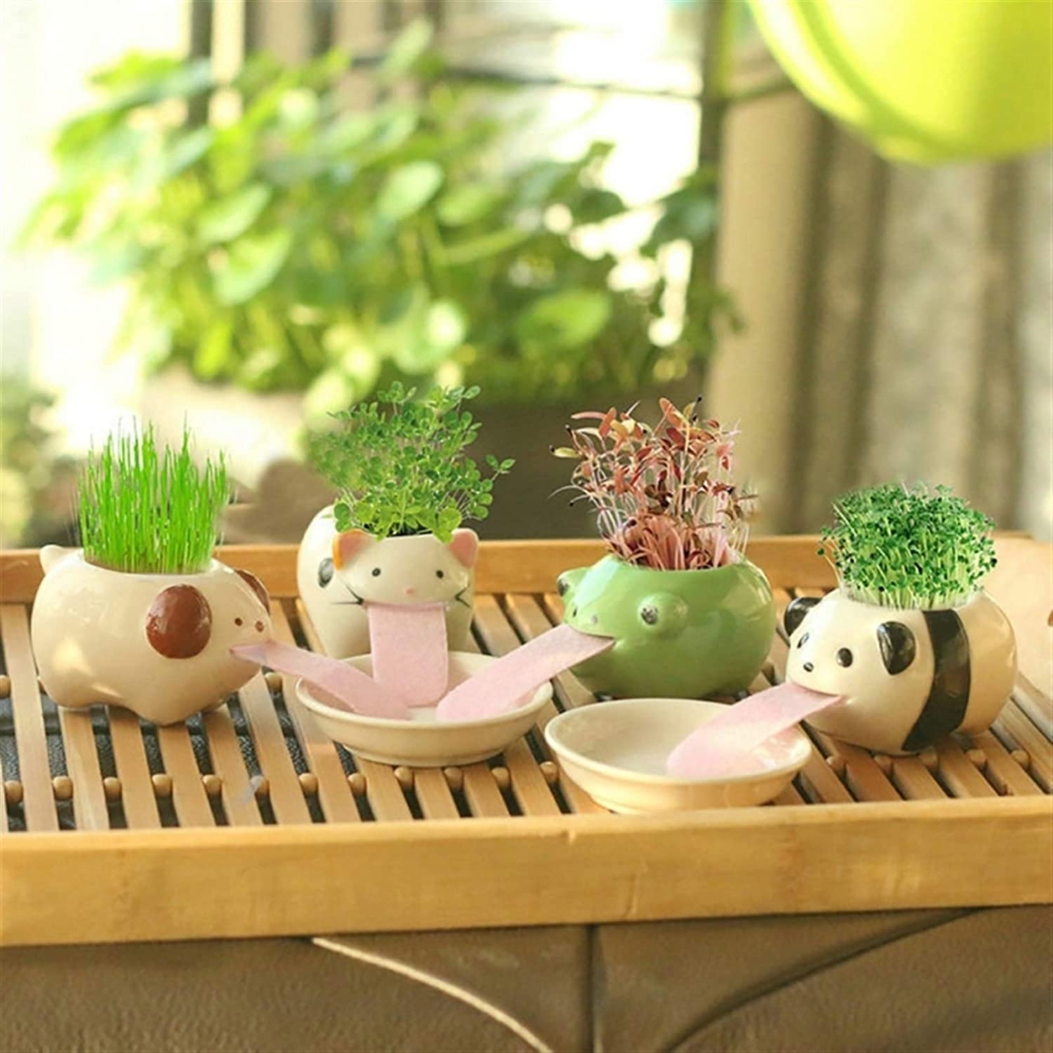 Drinking Animal Planters - Slurp up water through their tongues