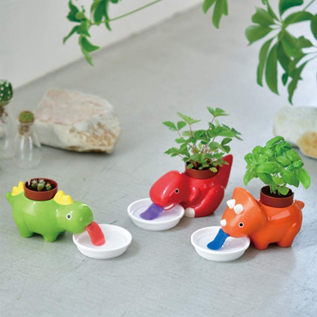 Drinking dinosaur planters