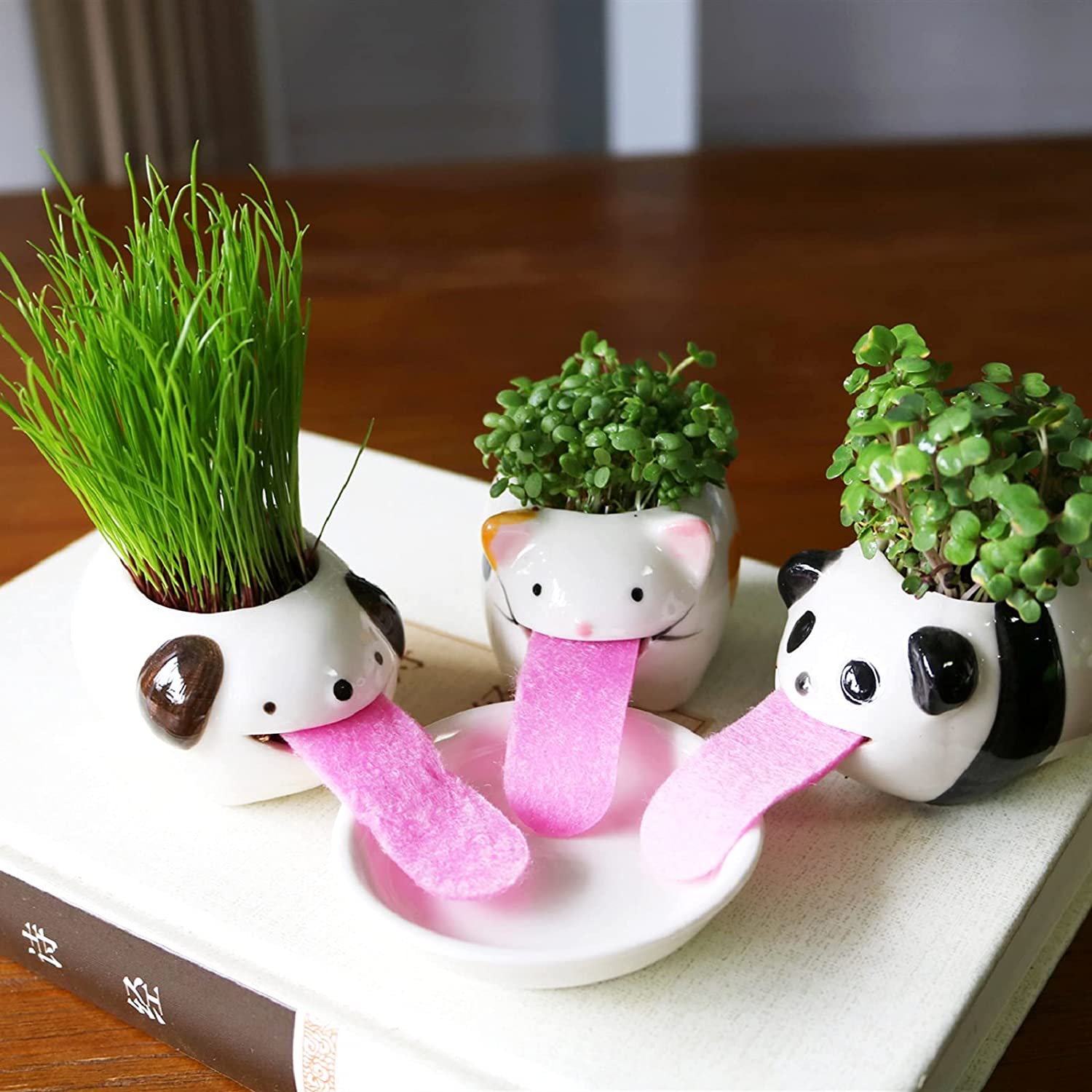 Drinking Animal Planters - Slurp up water through their tongues