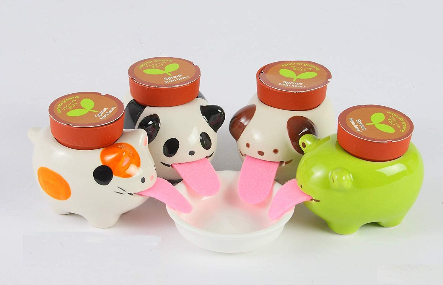 Drinking Animal Planters - Slurp up water through their tongues