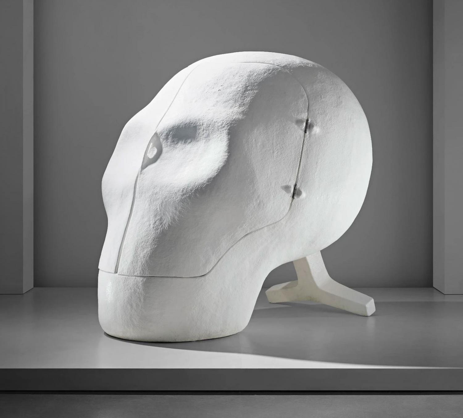 Sensory Deprivation Skull