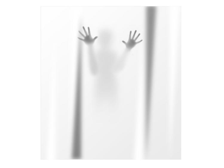 Shadowy Figure Scary Shower Curtain
