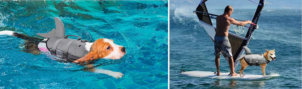 Shark Fin Dog Life Jacket - Dorsal fin dog life jacket