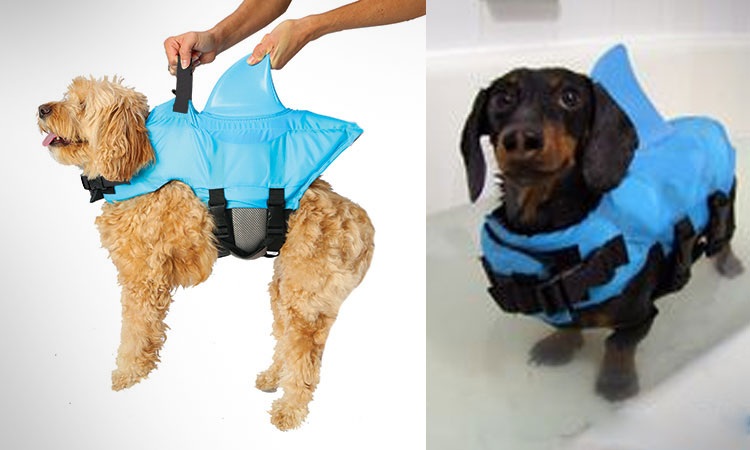 Shark Fin Dog Life Jacket - Dorsal fin dog life jacket