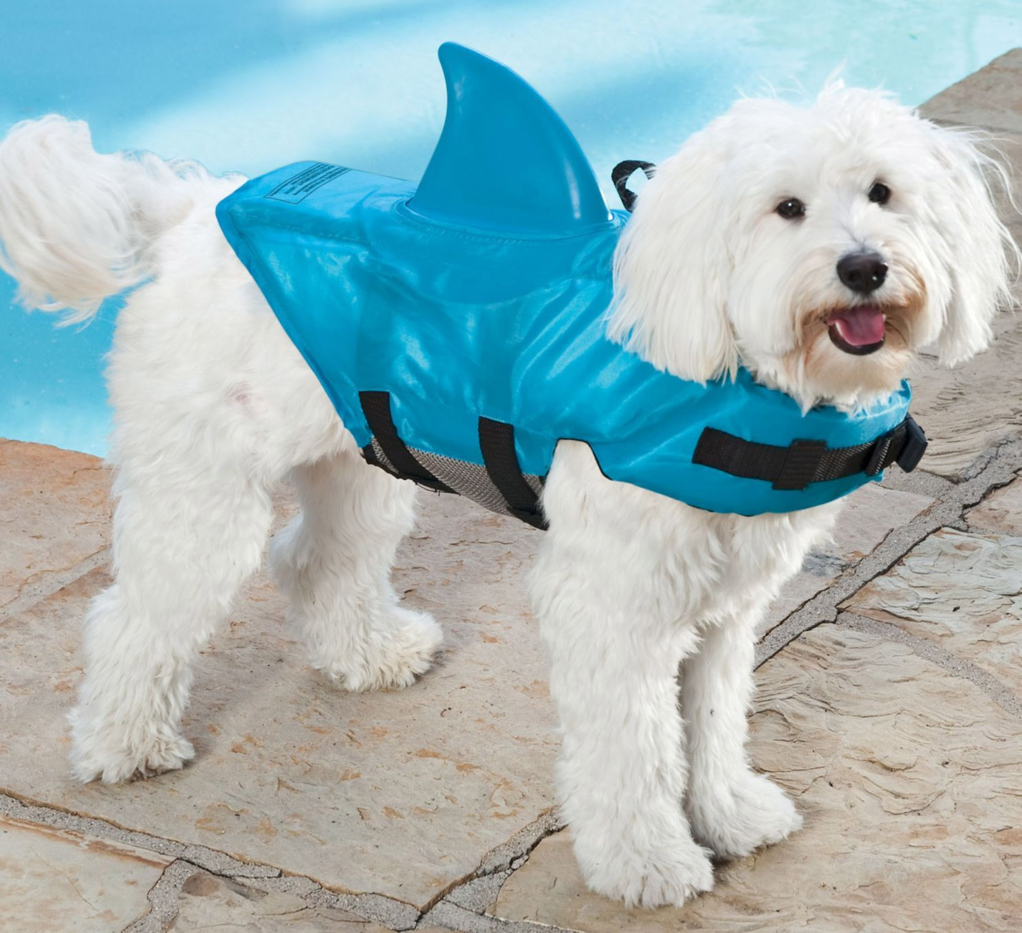 Shark Fin Dog Life Jacket - Dorsal fin dog life jacket