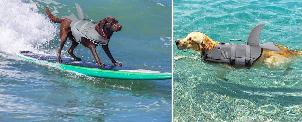 Shark Fin Dog Life Jacket - Dorsal fin dog life jacket