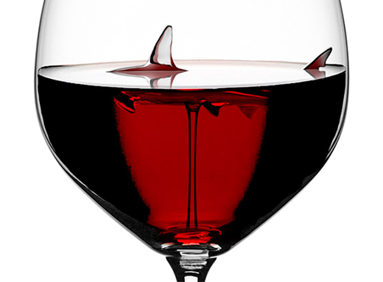 Shark wine glass - Shark swimming inside glass of red wine