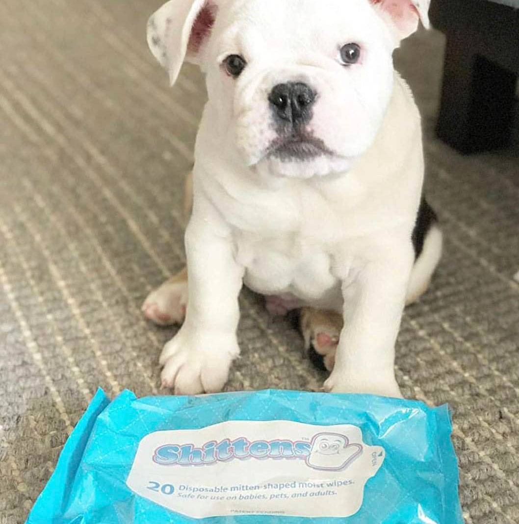 Shittens - Mitten shaped wet wipes - Glove shaped baby wipes