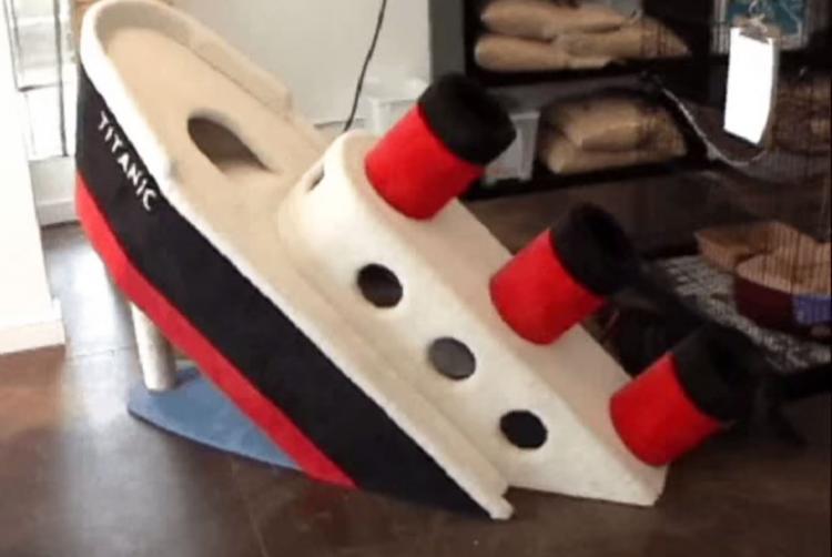 Titanic Cat Playground