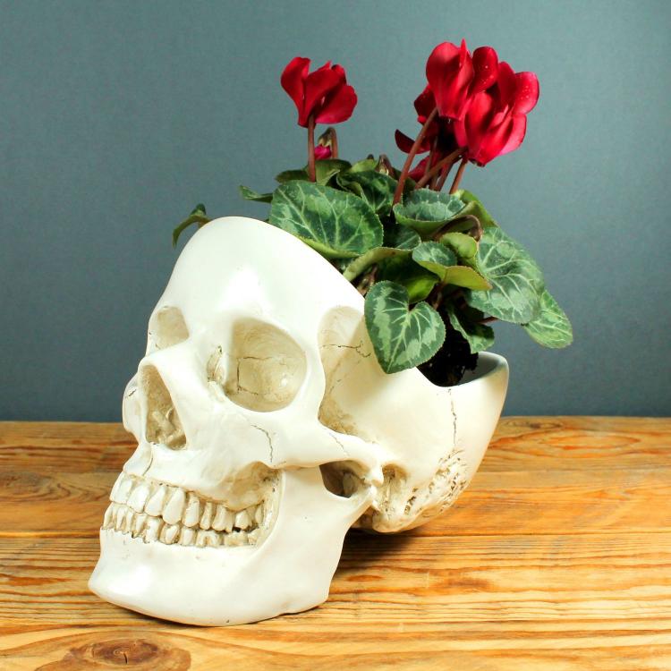Skull Shaped Desk Tidy