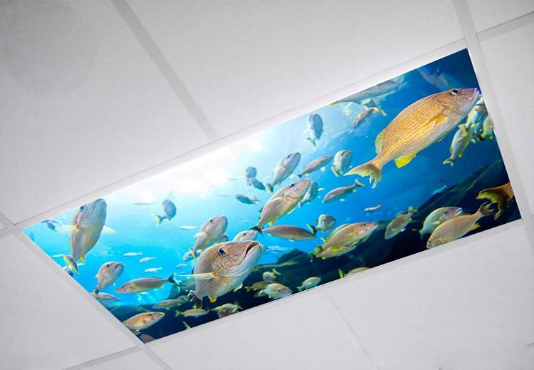 Sky Panel Light Fixture Cover - Bright blue sky office lights cover