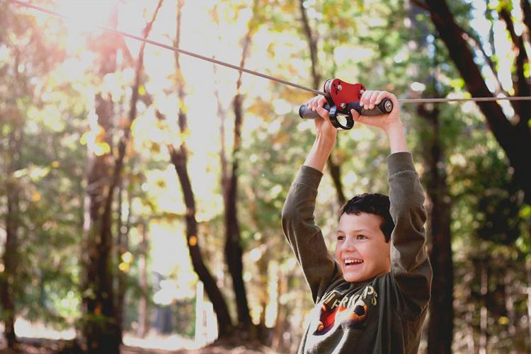 Sleadd Taurus 260 Foot Zip Line Kit