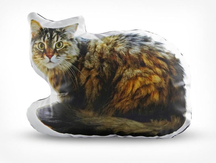Awake Cat Pillow