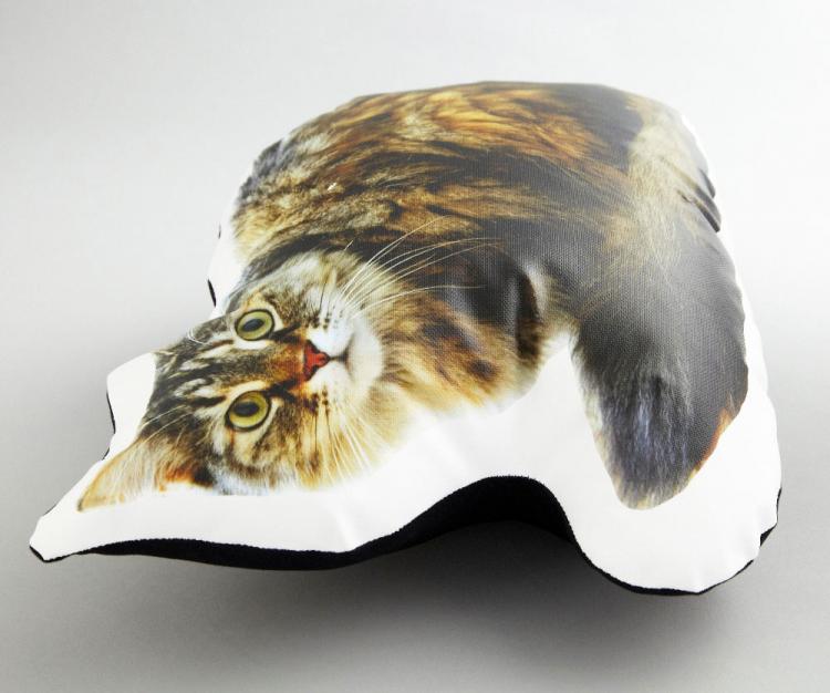 Awake Cat Pillow