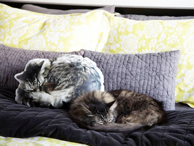 Sleeping Cat Pillow